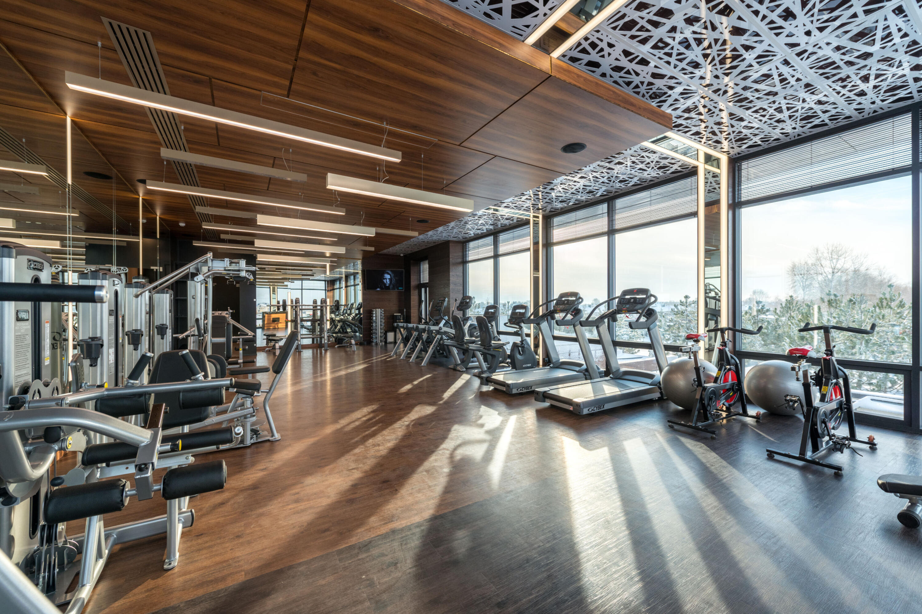 Corporate Gym